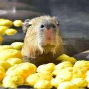 ヒメ日記 2025/12/22 15:02 投稿 るな 快楽夫人