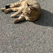 ヒメ日記 2026/02/02 10:43 投稿 るな 快楽夫人