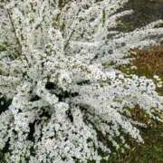 ヒメ日記 2026/02/13 14:05 投稿 るな 快楽夫人