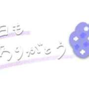 ヒメ日記 2026/08/19 17:04 投稿 るな 快楽夫人