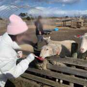 ヒメ日記 2025/02/12 22:44 投稿 るり 奥鉄オクテツ神奈川店（デリヘル市場グループ）