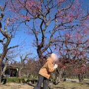 ヒメ日記 2025/02/13 20:45 投稿 るり 奥鉄オクテツ神奈川店（デリヘル市場グループ）