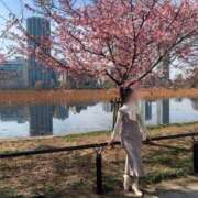 ヒメ日記 2025/03/01 17:13 投稿 るり 奥鉄オクテツ神奈川店（デリヘル市場グループ）