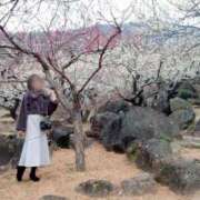 ヒメ日記 2025/03/11 20:18 投稿 るり 奥鉄オクテツ神奈川店（デリヘル市場グループ）