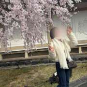 ヒメ日記 2025/04/01 15:55 投稿 るり 奥鉄オクテツ神奈川店（デリヘル市場グループ）