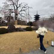 ヒメ日記 2025/04/01 16:55 投稿 るり 奥鉄オクテツ神奈川店（デリヘル市場グループ）