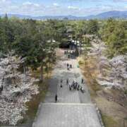 ヒメ日記 2025/04/04 11:28 投稿 るり 奥鉄オクテツ神奈川店（デリヘル市場グループ）