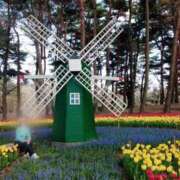 ヒメ日記 2025/04/11 13:20 投稿 るり 奥鉄オクテツ神奈川店（デリヘル市場グループ）