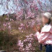 ヒメ日記 2025/04/12 10:50 投稿 るり 奥鉄オクテツ神奈川店（デリヘル市場グループ）