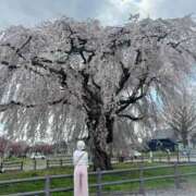 ヒメ日記 2025/05/03 16:29 投稿 るり 奥鉄オクテツ神奈川店（デリヘル市場グループ）