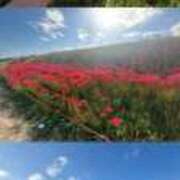 ヒメ日記 2025/09/24 20:34 投稿 るり 奥鉄オクテツ神奈川店（デリヘル市場グループ）