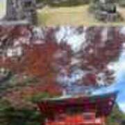 ヒメ日記 2025/11/19 19:18 投稿 るり 奥鉄オクテツ神奈川店（デリヘル市場グループ）