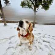 ヒメ日記 2026/02/08 09:14 投稿 るり 奥鉄オクテツ神奈川店（デリヘル市場グループ）