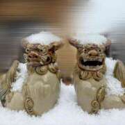 ヒメ日記 2026/02/08 10:20 投稿 るり 奥鉄オクテツ神奈川店（デリヘル市場グループ）