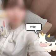 ヒメ日記 2024/12/10 14:13 投稿 いと 手コキガールズコレクション