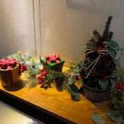 ヒメ日記 2024/12/10 18:23 投稿 いと 手コキガールズコレクション