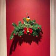 ヒメ日記 2024/12/17 16:23 投稿 いと 手コキガールズコレクション