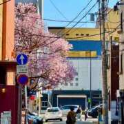 ヒメ日記 2025/04/05 14:33 投稿 いと 手コキガールズコレクション