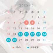 ヒメ日記 2025/05/06 18:43 投稿 いと 手コキガールズコレクション