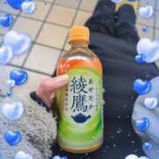 ヒメ日記 2025/02/21 19:43 投稿 宮下 名古屋デッドボール