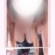 ヒメ日記 2025/03/25 17:08 投稿 宮下 名古屋デッドボール