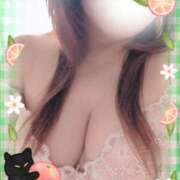 ヒメ日記 2025/04/23 13:51 投稿 宮下 名古屋デッドボール