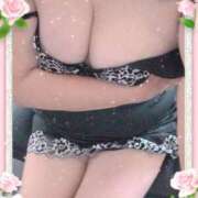 ヒメ日記 2025/06/12 07:06 投稿 宮下 名古屋デッドボール