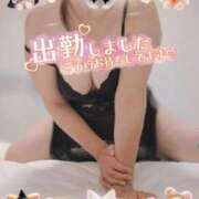 ヒメ日記 2025/10/30 12:08 投稿 宮下 名古屋デッドボール