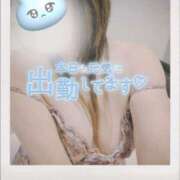 ヒメ日記 2025/12/12 12:17 投稿 宮下 名古屋デッドボール