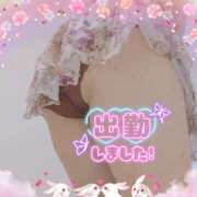 ヒメ日記 2026/01/22 12:26 投稿 宮下 名古屋デッドボール