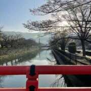 ヒメ日記 2024/12/11 09:51 投稿 優子/Yuko レジーナ