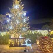 ヒメ日記 2024/12/25 00:06 投稿 優子/Yuko レジーナ