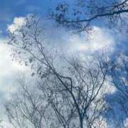 ヒメ日記 2025/01/16 11:34 投稿 優子/Yuko レジーナ