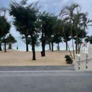 ヒメ日記 2025/03/16 09:54 投稿 優子/Yuko レジーナ