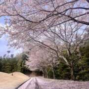 ヒメ日記 2025/04/11 20:44 投稿 優子/Yuko レジーナ