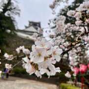 ヒメ日記 2025/04/13 09:54 投稿 優子/Yuko レジーナ