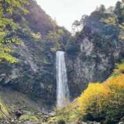 ヒメ日記 2025/04/20 10:04 投稿 優子/Yuko レジーナ