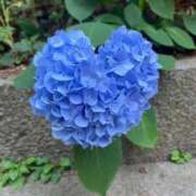 ヒメ日記 2025/05/08 09:34 投稿 優子/Yuko レジーナ