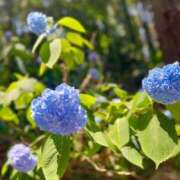 ヒメ日記 2025/06/11 09:24 投稿 優子/Yuko レジーナ