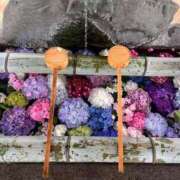 ヒメ日記 2025/06/29 09:44 投稿 優子/Yuko レジーナ