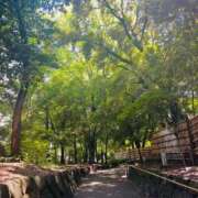 ヒメ日記 2025/07/12 09:34 投稿 優子/Yuko レジーナ