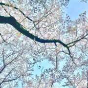 ヒメ日記 2025/07/14 10:34 投稿 優子/Yuko レジーナ