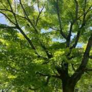 ヒメ日記 2025/07/30 09:54 投稿 優子/Yuko レジーナ