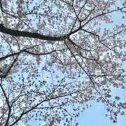 ヒメ日記 2025/08/10 10:34 投稿 優子/Yuko レジーナ