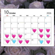 ヒメ日記 2026/10/14 19:15 投稿 ミナ クラブKG
