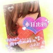 ヒメ日記 2025/03/16 09:01 投稿 今津すず 大阪ぽっちゃり妻