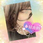 ヒメ日記 2025/04/05 05:15 投稿 今津すず 大阪ぽっちゃり妻