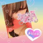 ヒメ日記 2025/05/13 08:44 投稿 今津すず 大阪ぽっちゃり妻