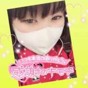 ヒメ日記 2025/05/14 23:14 投稿 今津すず 大阪ぽっちゃり妻