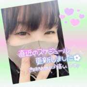 ヒメ日記 2025/05/25 15:15 投稿 今津すず 大阪ぽっちゃり妻
